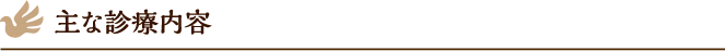 主な診療内容