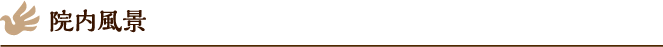 院内風景